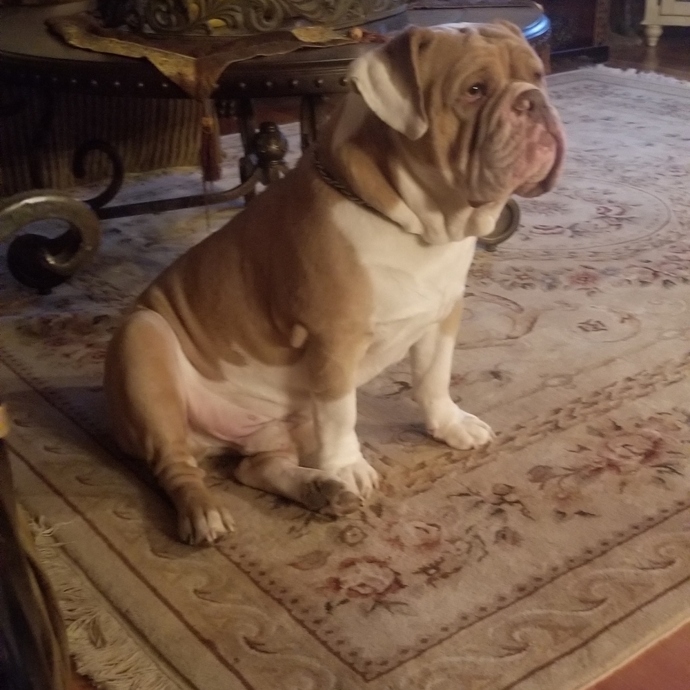 Meet your Posher, - Picture 2 of 9